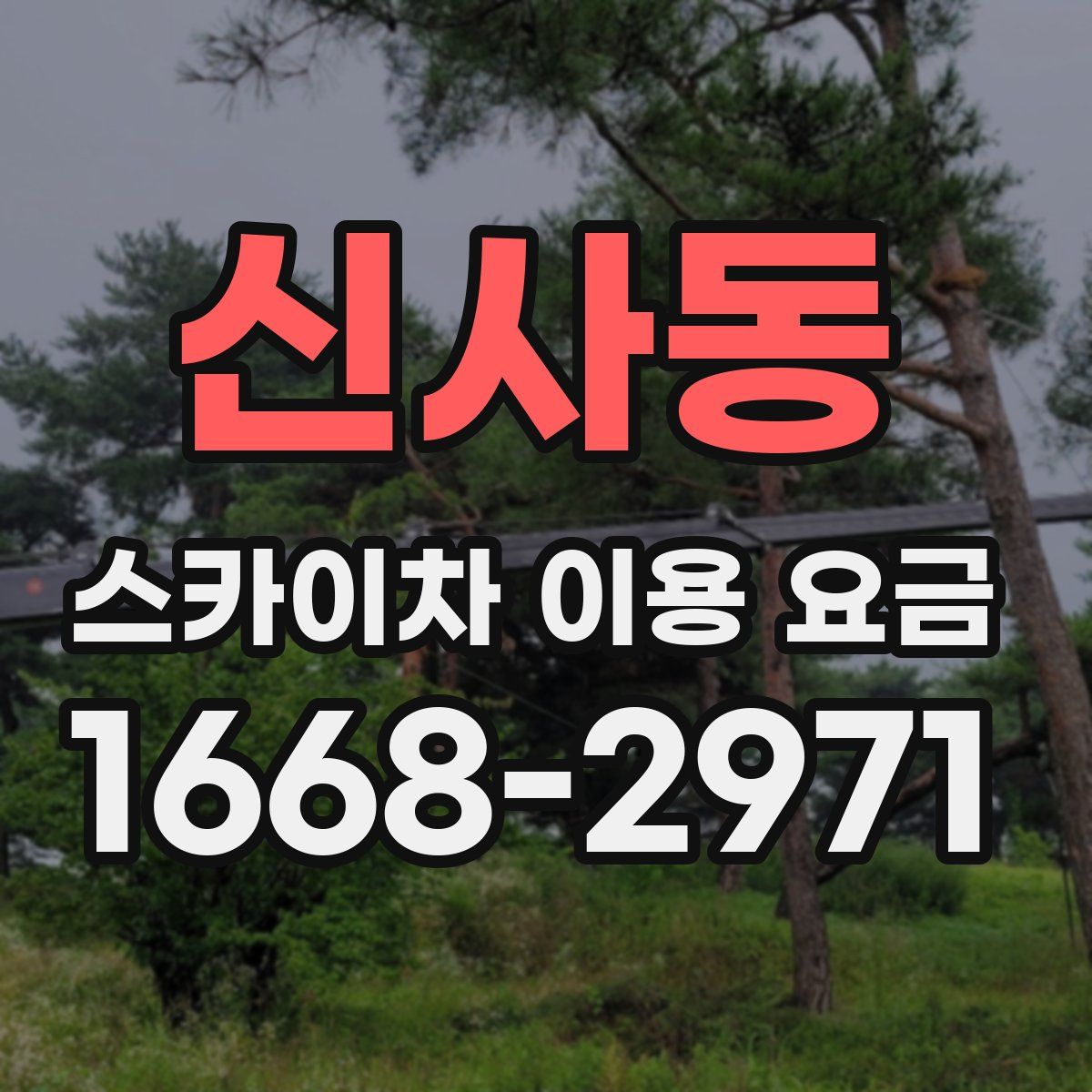신사동 스카이차 이용 요금