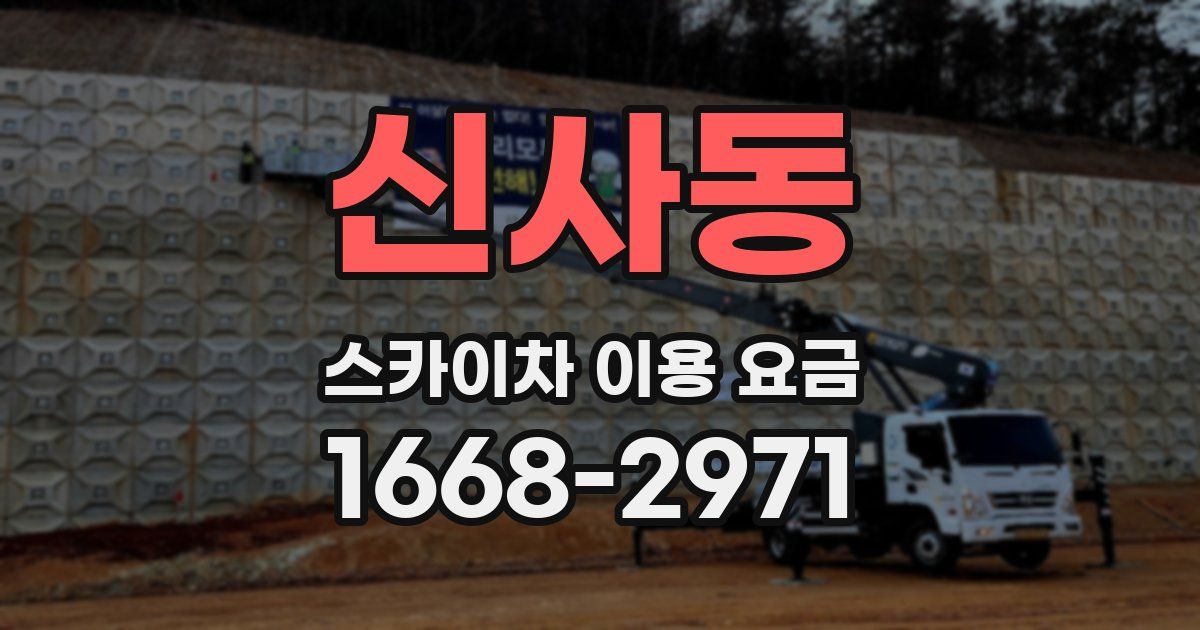 신사동 스카이차 이용 요금