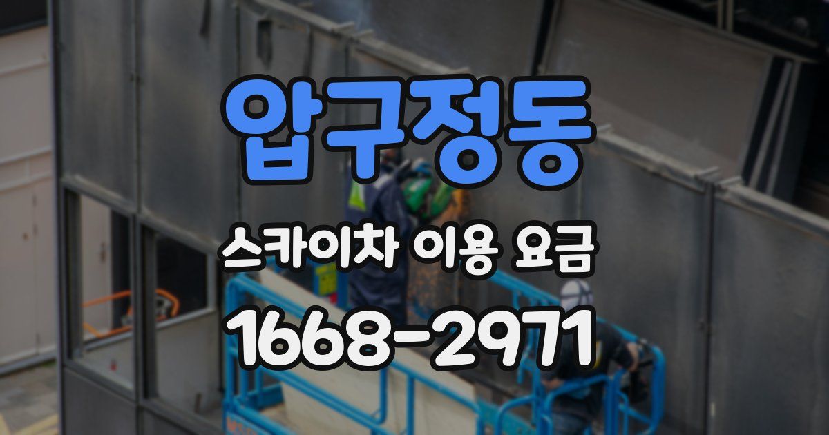 압구정동 스카이차 이용 요금