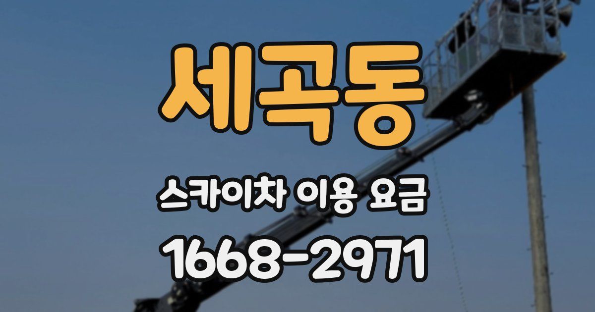 세곡동 스카이차 이용 요금