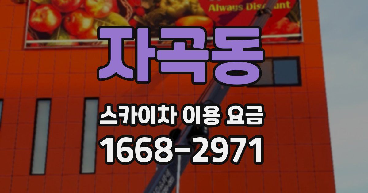 자곡동 스카이차 이용 요금