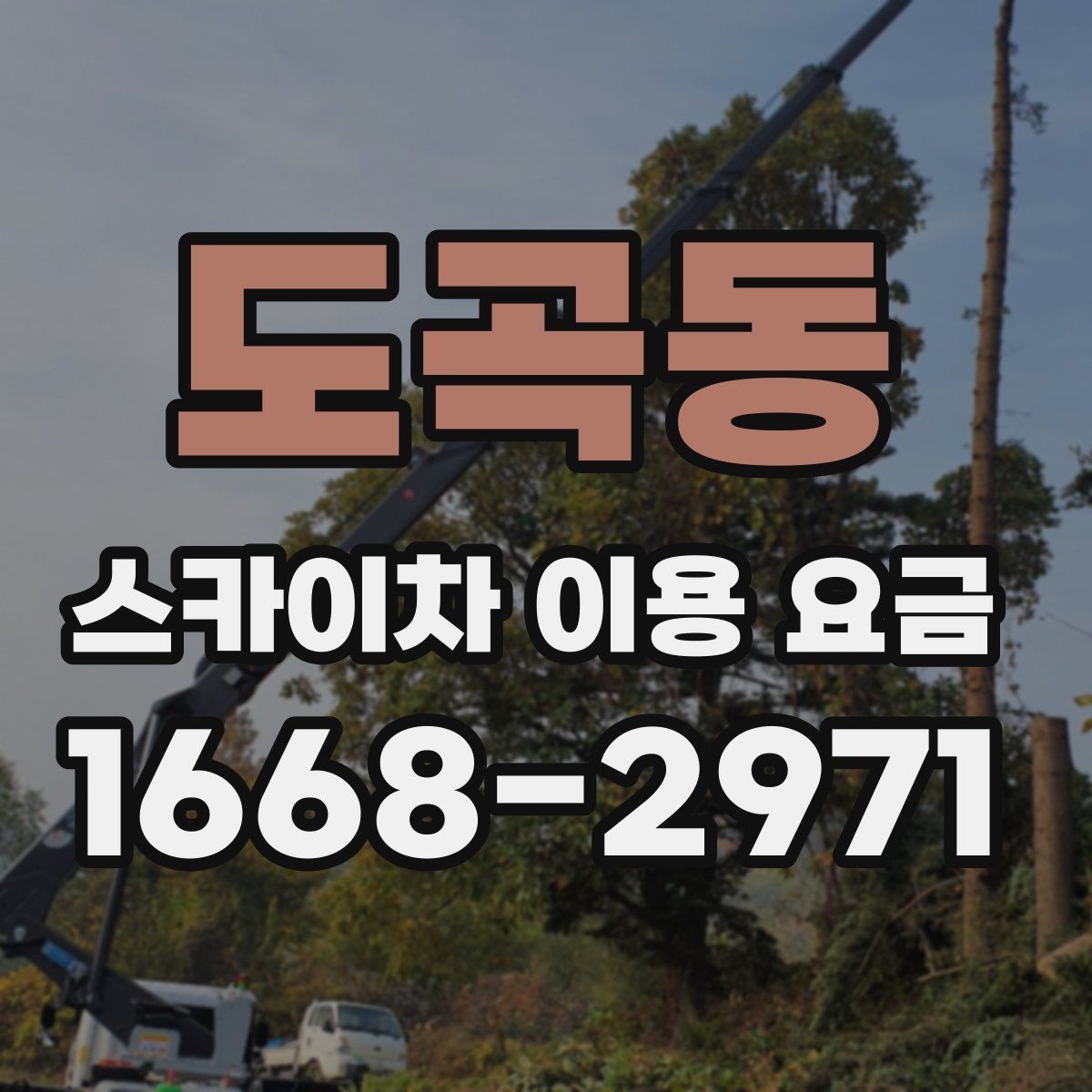 도곡동 스카이차 이용 요금 문의 전 준비하면 좋은 정보