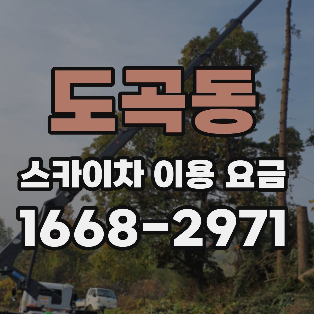 도곡동 스카이차 이용 요금