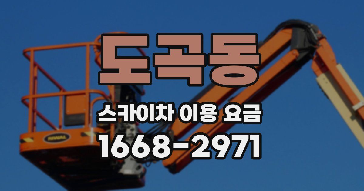 도곡동 스카이차 이용 요금