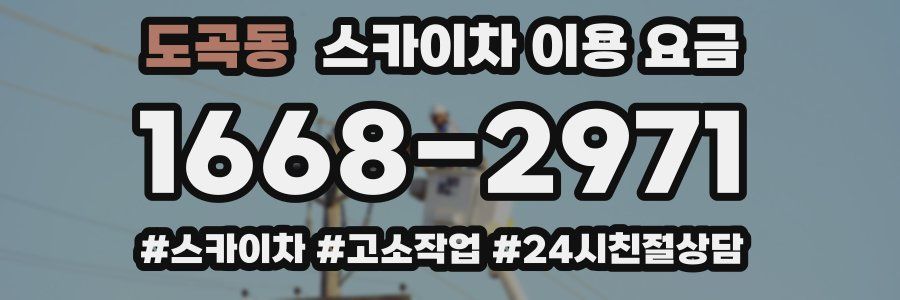 도곡동 스카이차 이용 요금