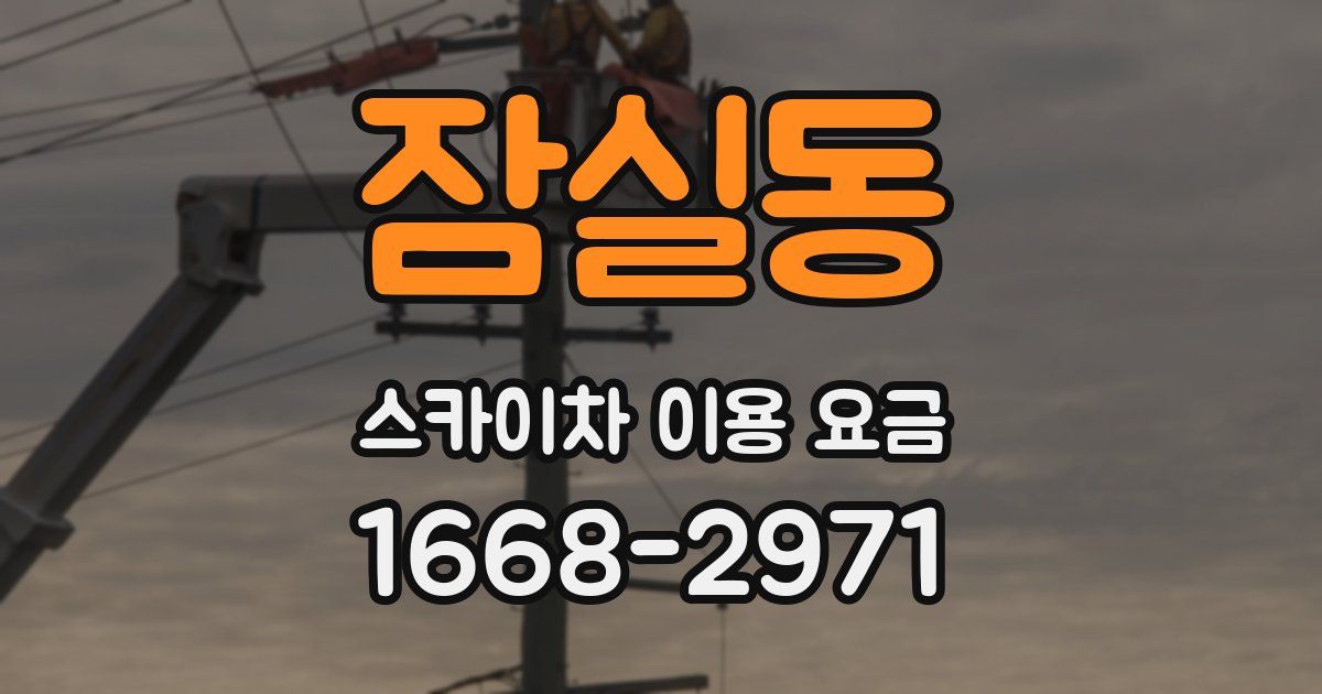 잠실동 스카이차 이용 요금