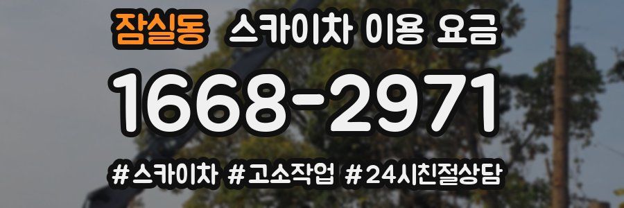 잠실동 스카이차 이용 요금