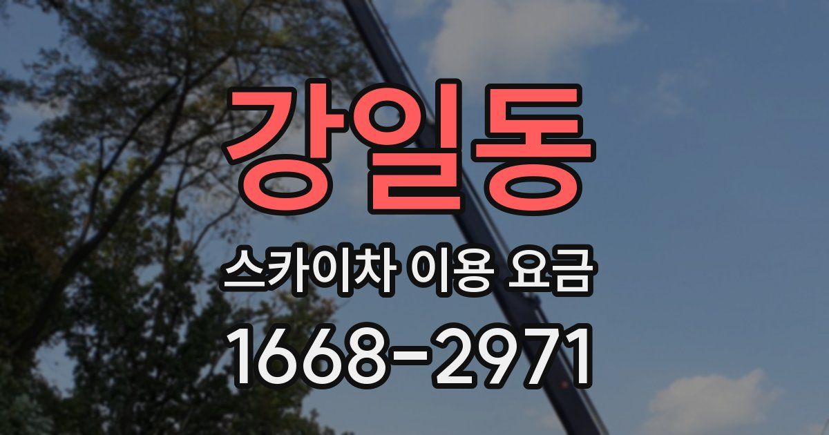 강일동 스카이차 이용 요금
