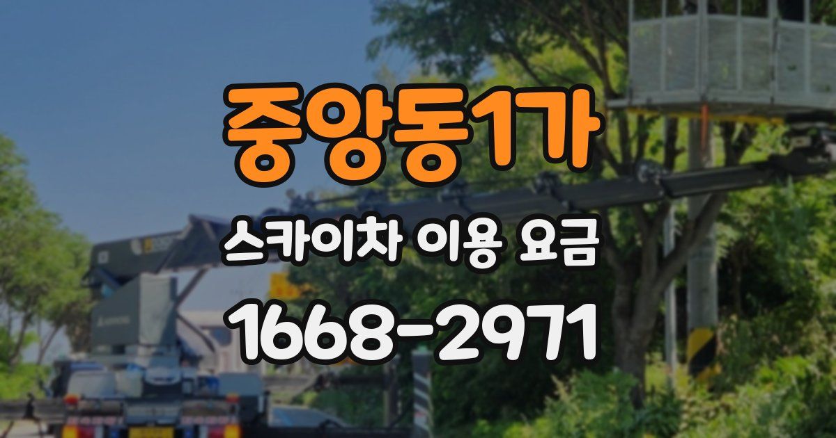 중앙동1가 스카이차 이용 요금