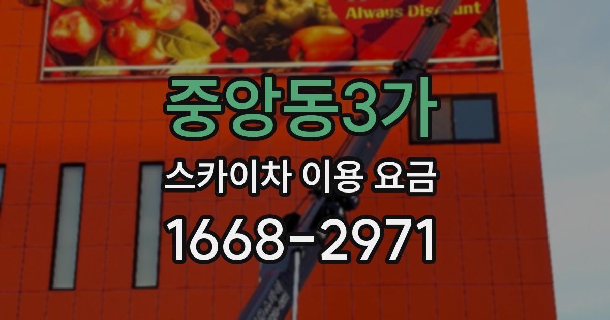 중앙동3가 스카이차 이용 요금