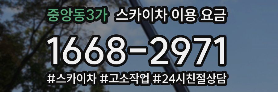 중앙동3가 스카이차 이용 요금