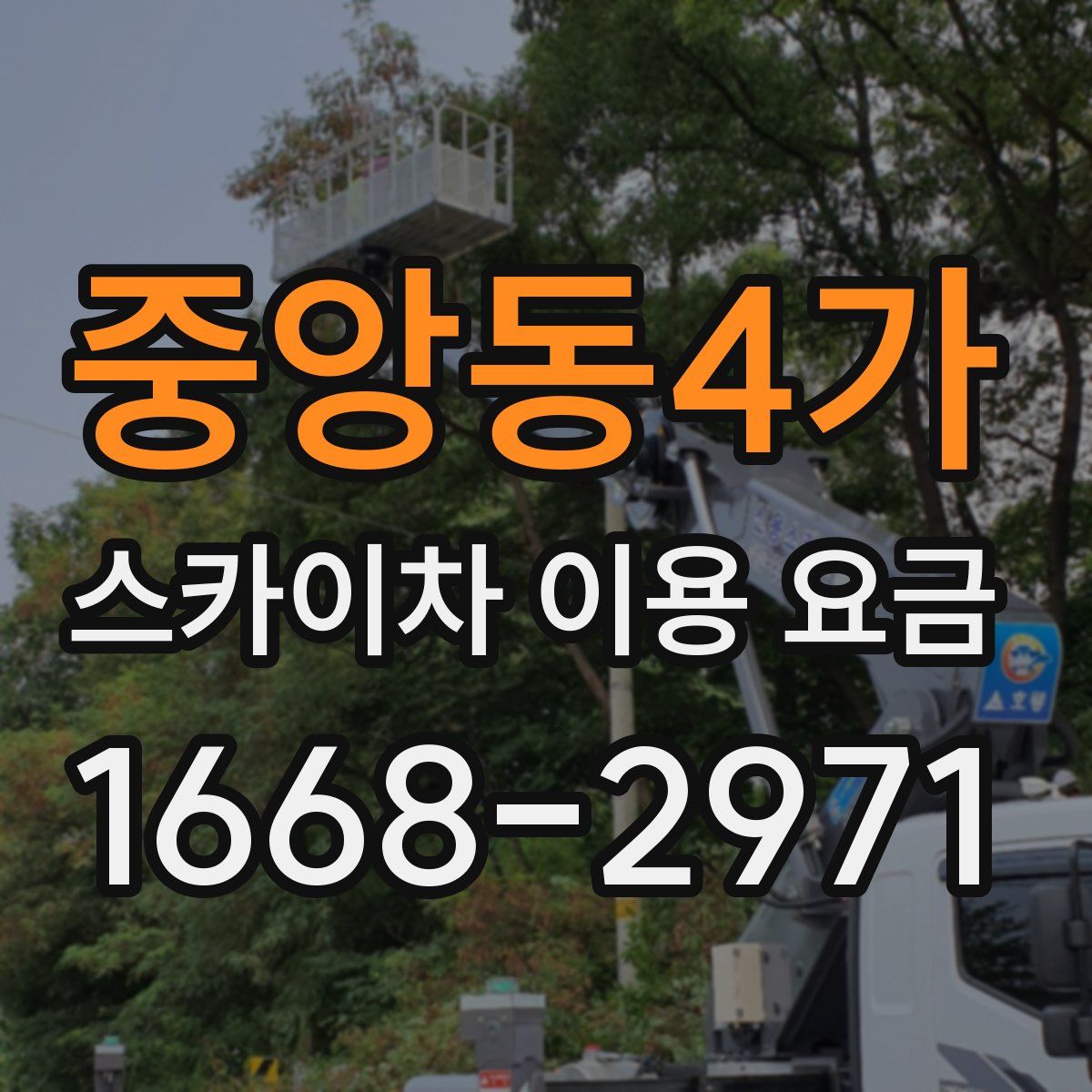 중앙동4가 스카이차 이용 요금