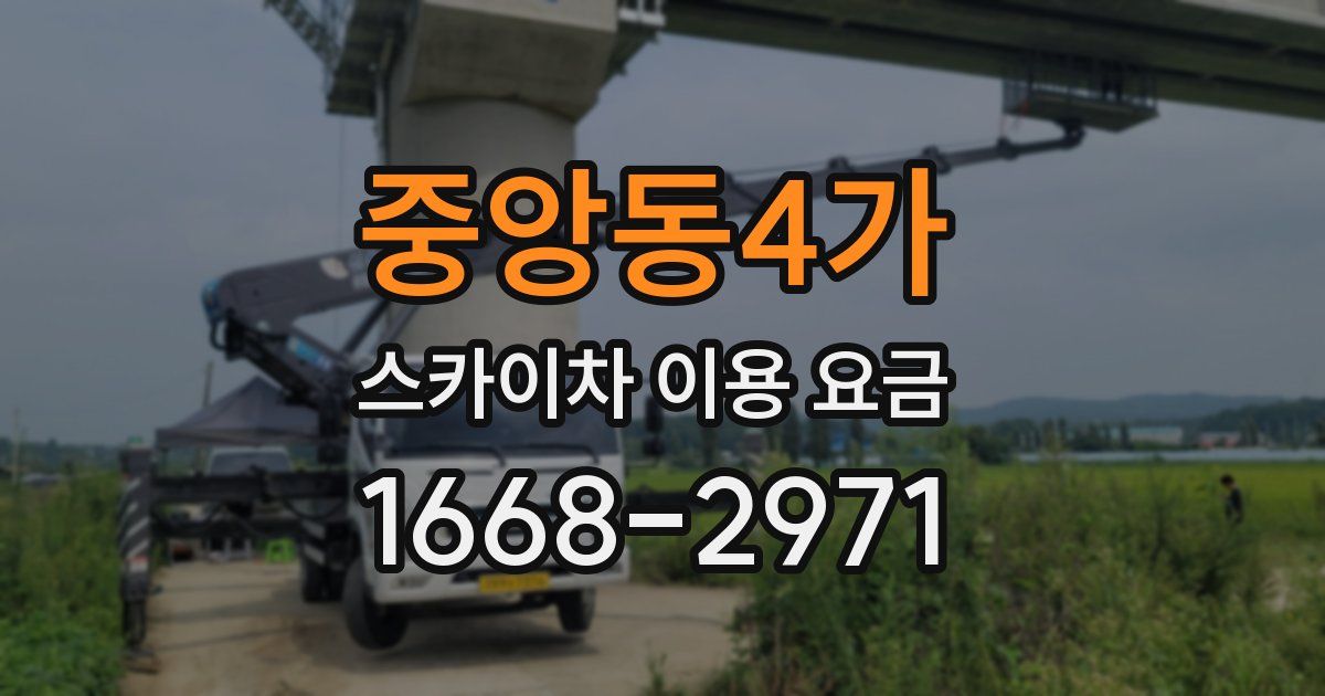 중앙동4가 스카이차 이용 요금