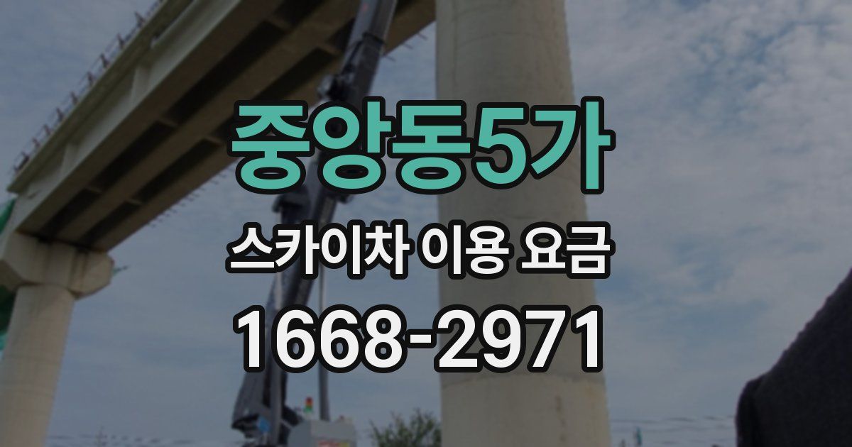 중앙동5가 스카이차 이용 요금