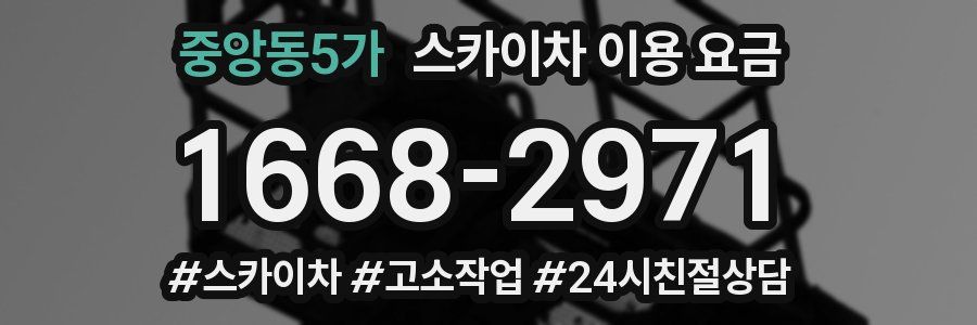 중앙동5가 스카이차 이용 요금