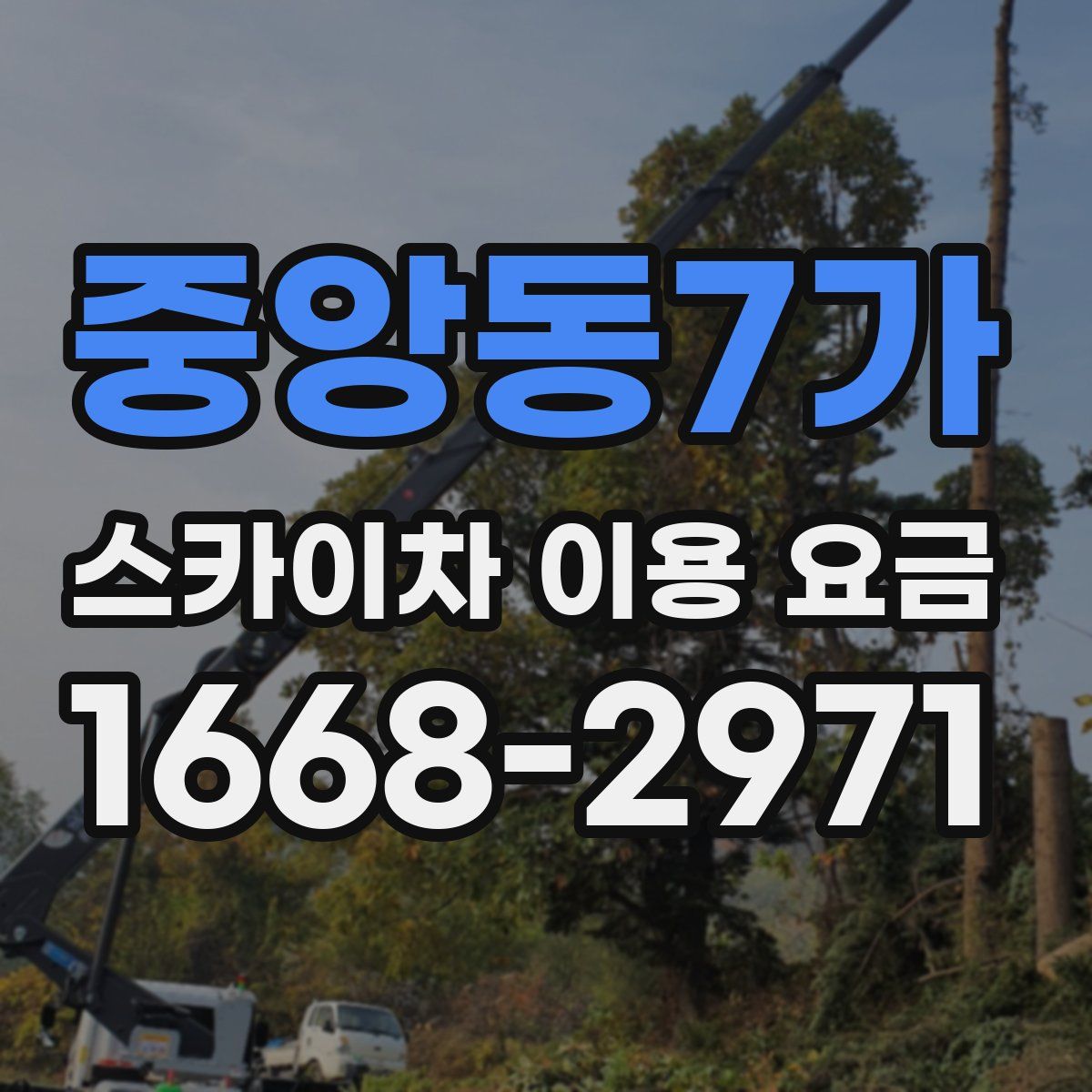 중앙동7가 스카이차 이용 요금