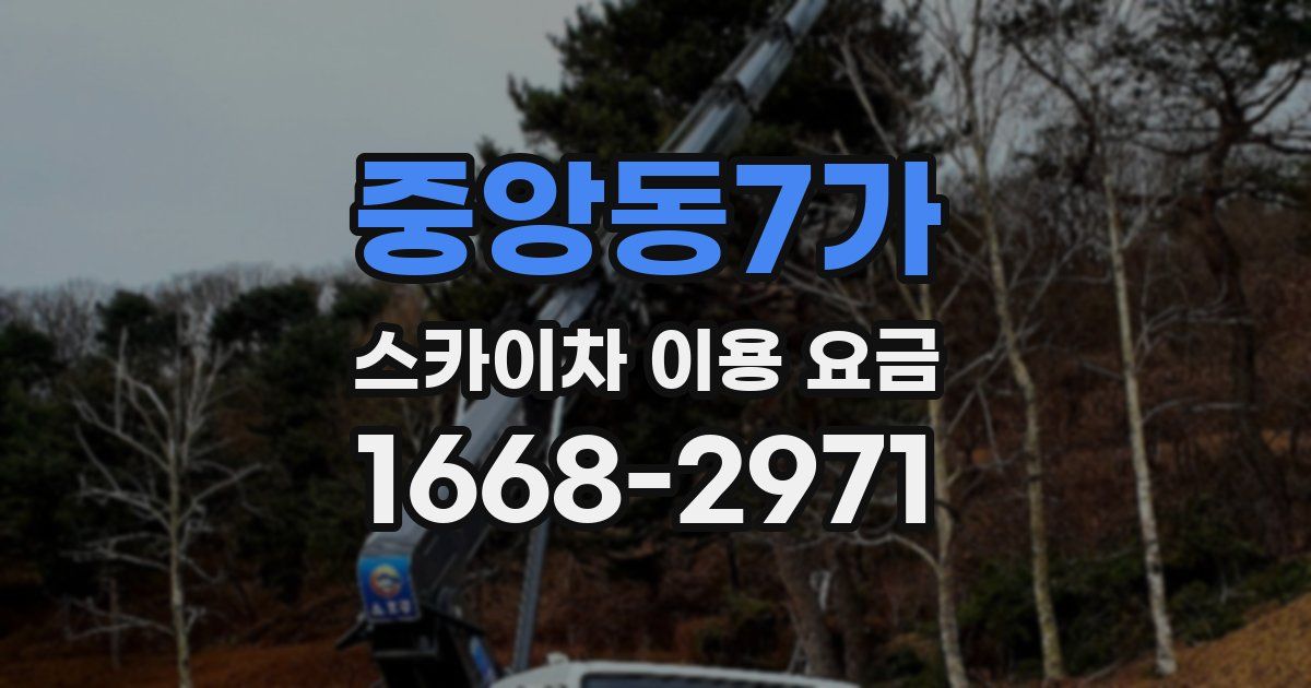 중앙동7가 스카이차 이용 요금