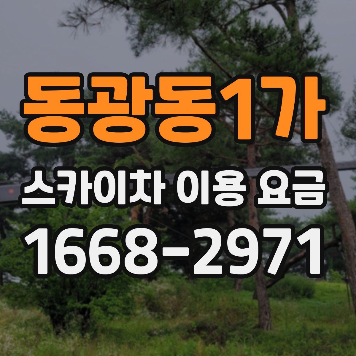 동광동1가 스카이차 이용 요금