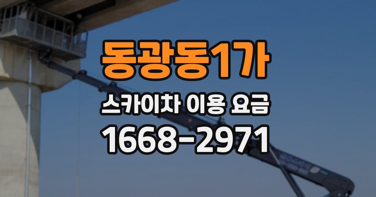 동광동1가 스카이차 이용 요금