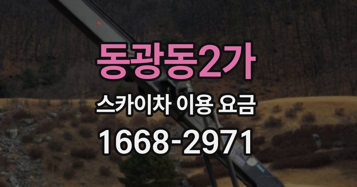동광동2가 스카이차 이용 요금