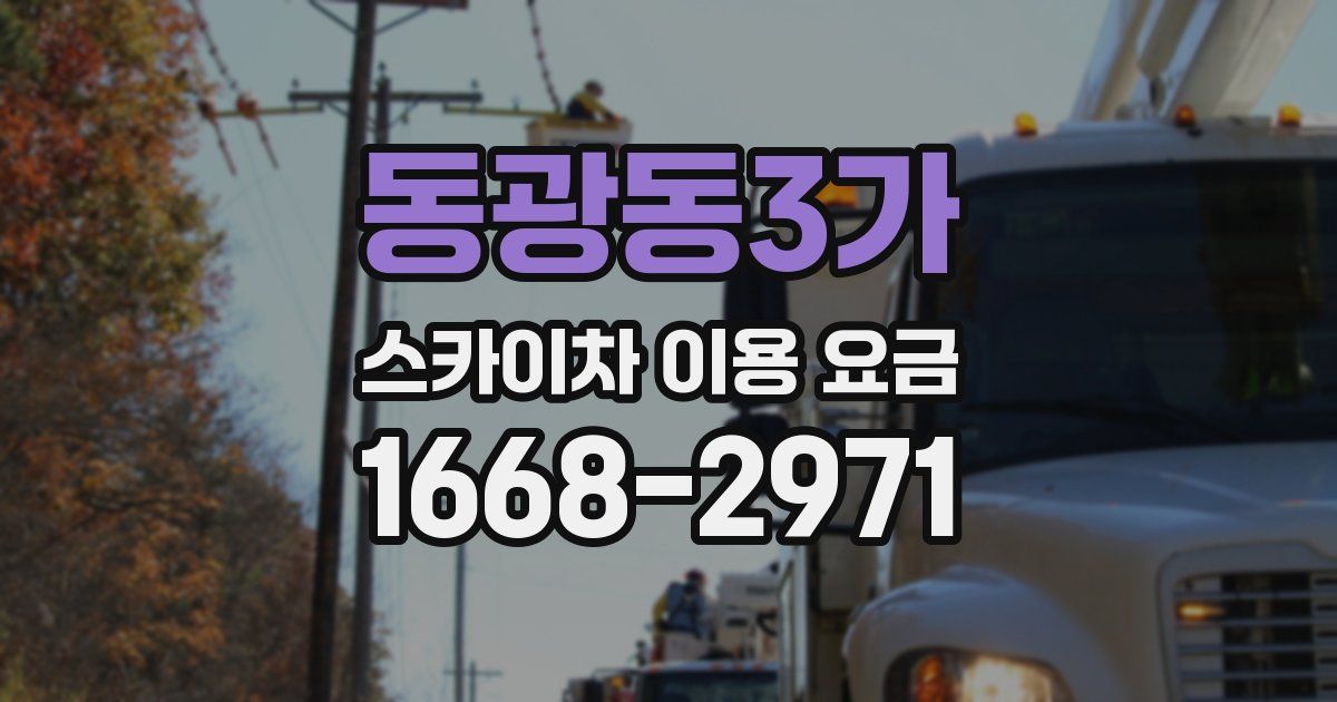 동광동3가 스카이차 이용 요금