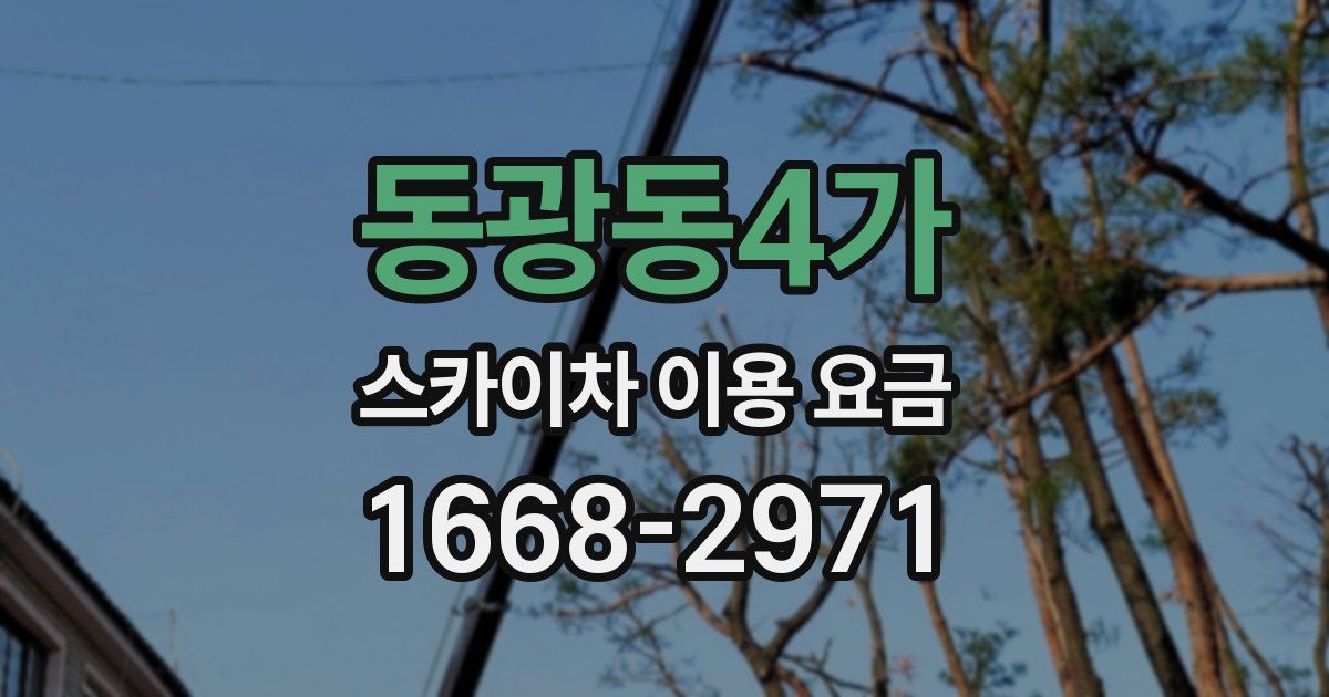 동광동4가 스카이차 이용 요금