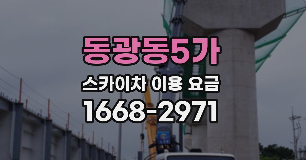 동광동5가 스카이차 이용 요금