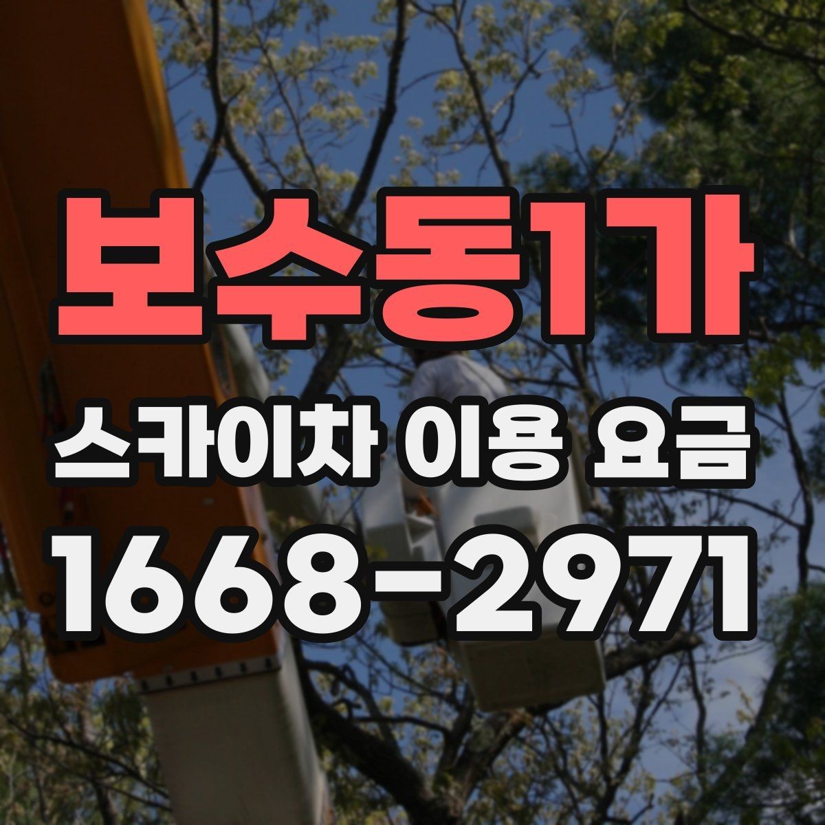 보수동1가 스카이차 이용 요금 상담 시 비교해볼 기준