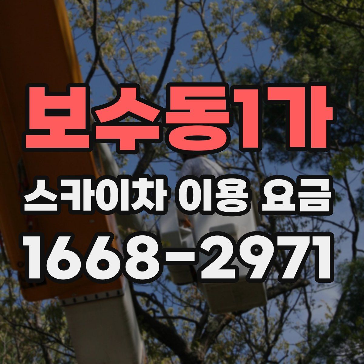 보수동1가 스카이차 이용 요금