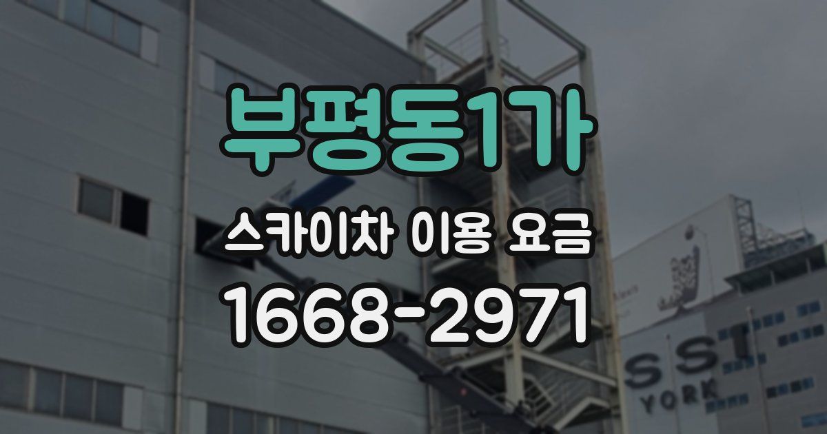 부평동1가 스카이차 이용 요금