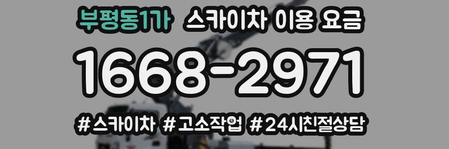 부평동1가 스카이차 이용 요금