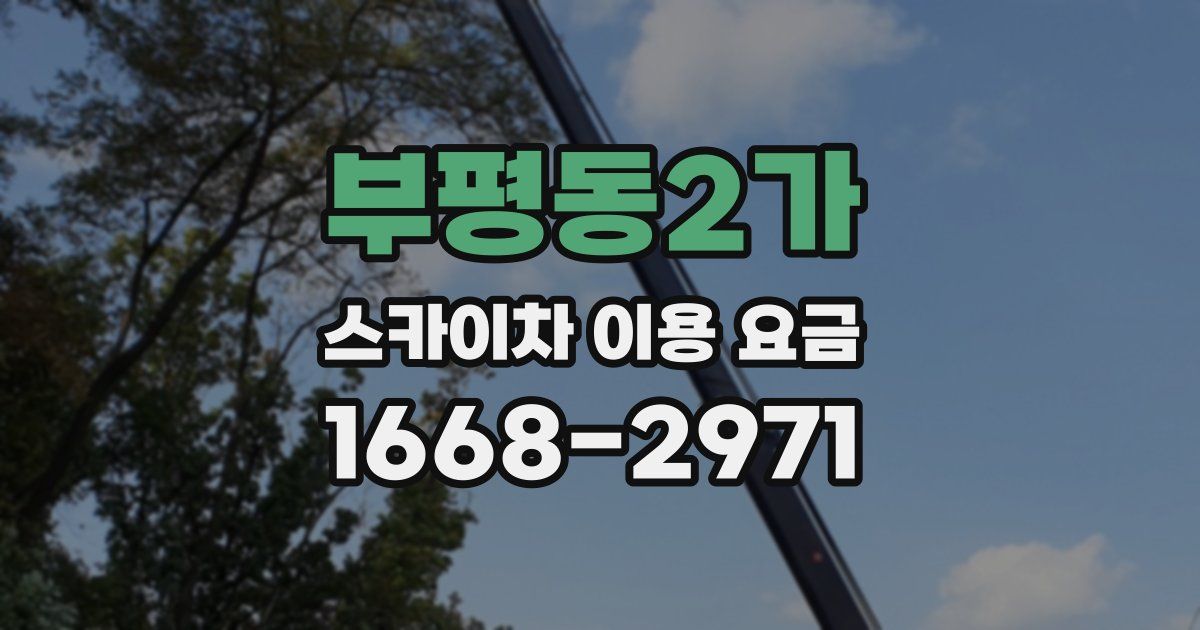 부평동2가 스카이차 이용 요금