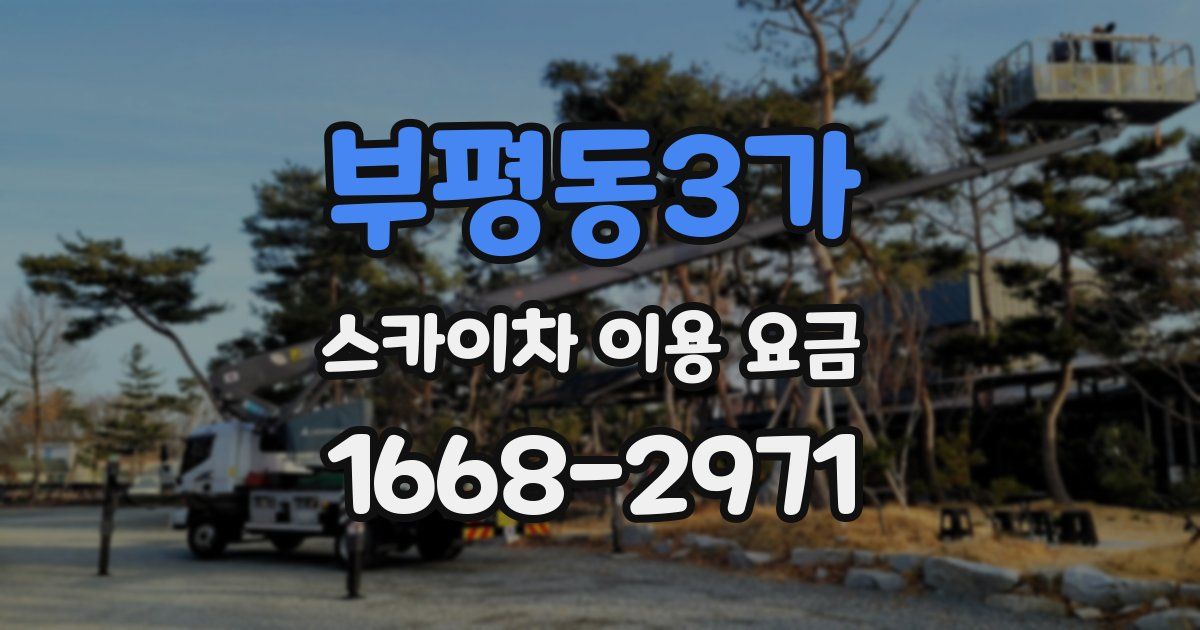 부평동3가 스카이차 이용 요금