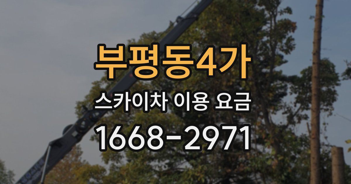 부평동4가 스카이차 이용 요금