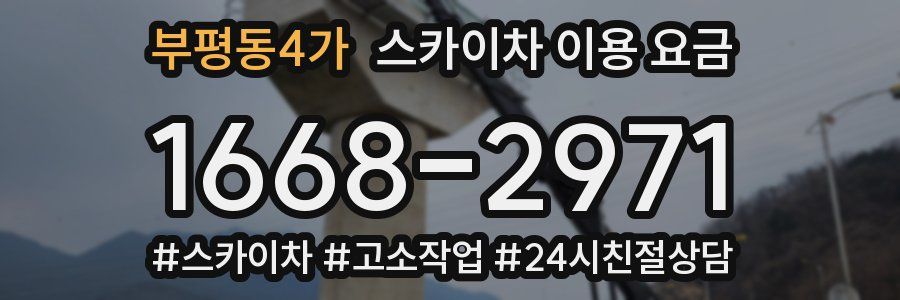 부평동4가 스카이차 이용 요금