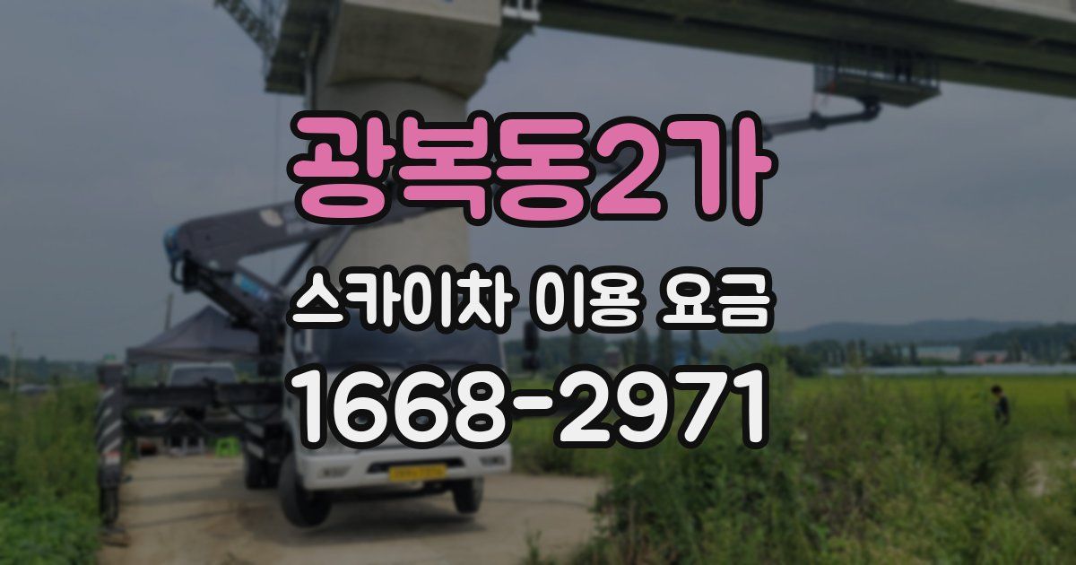 광복동2가 스카이차 이용 요금