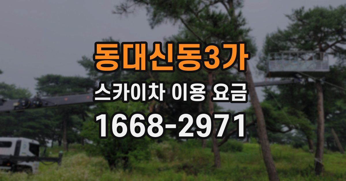 동대신동3가 스카이차 이용 요금