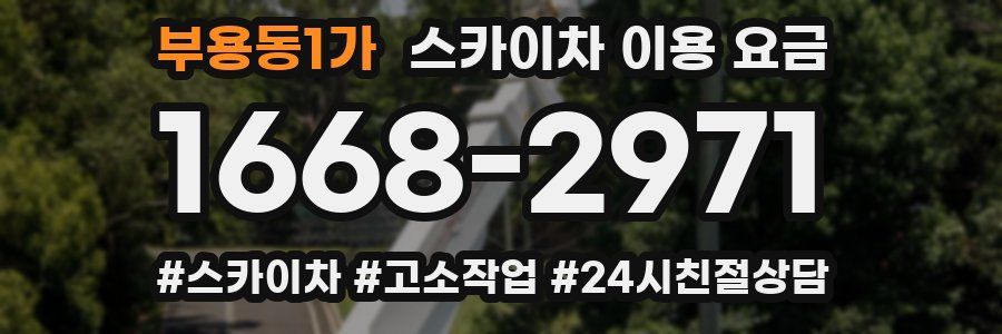 부용동1가 스카이차 이용 요금