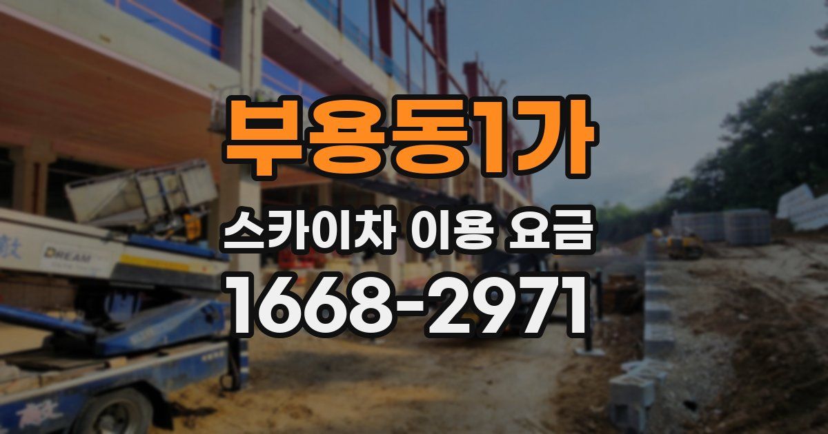 부용동1가 스카이차 이용 요금