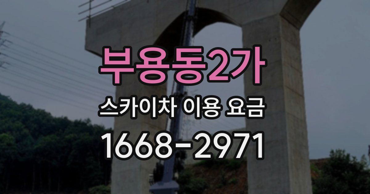 부용동2가 스카이차 이용 요금