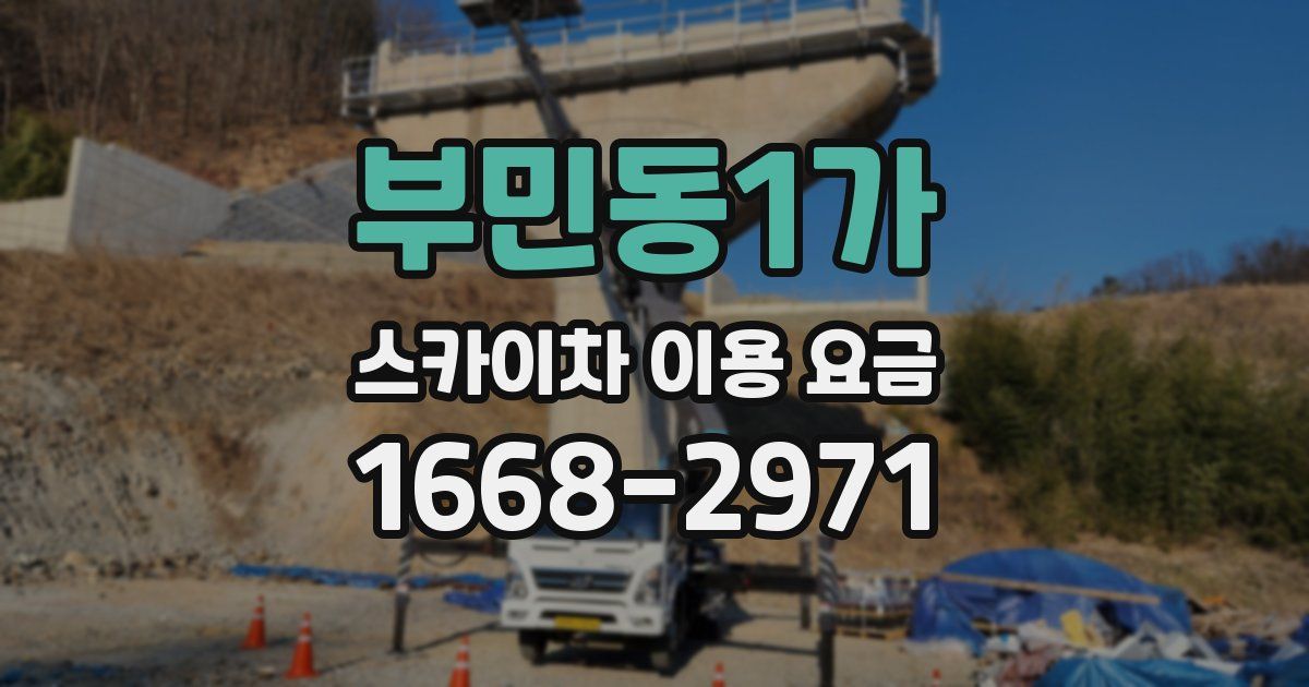부민동1가 스카이차 이용 요금