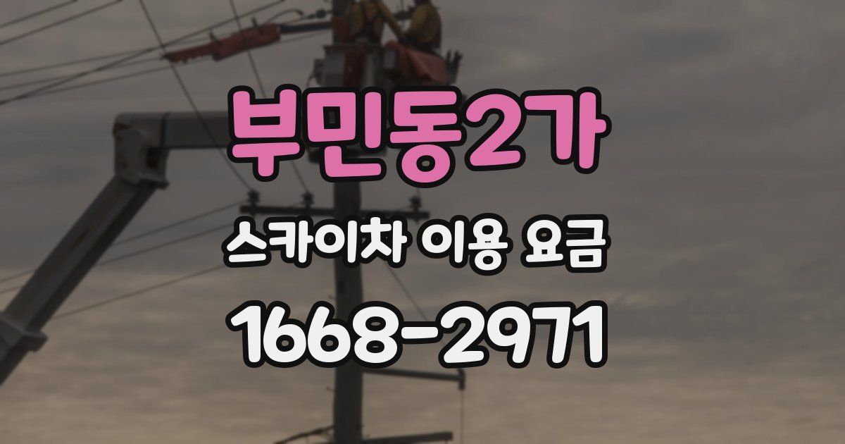 부민동2가 스카이차 이용 요금