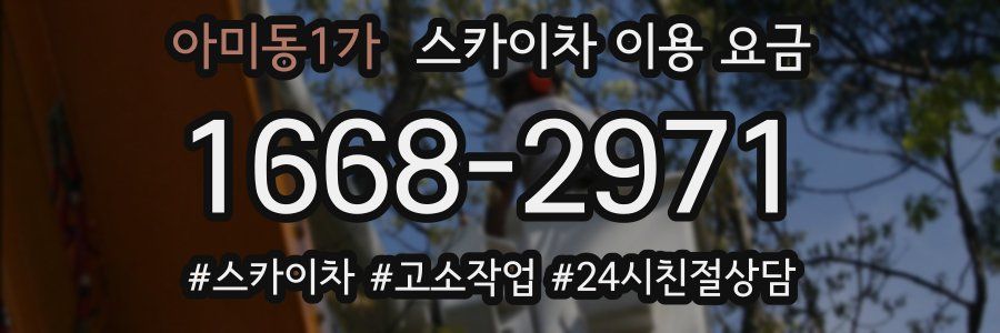 아미동1가 스카이차 이용 요금