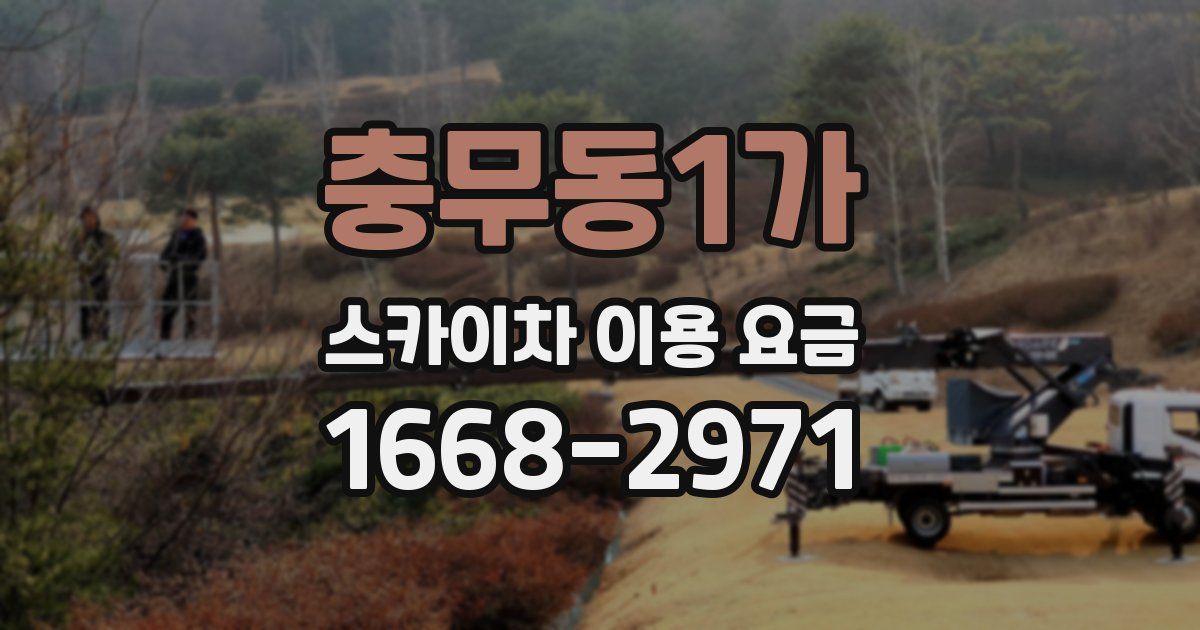 충무동1가 스카이차 이용 요금