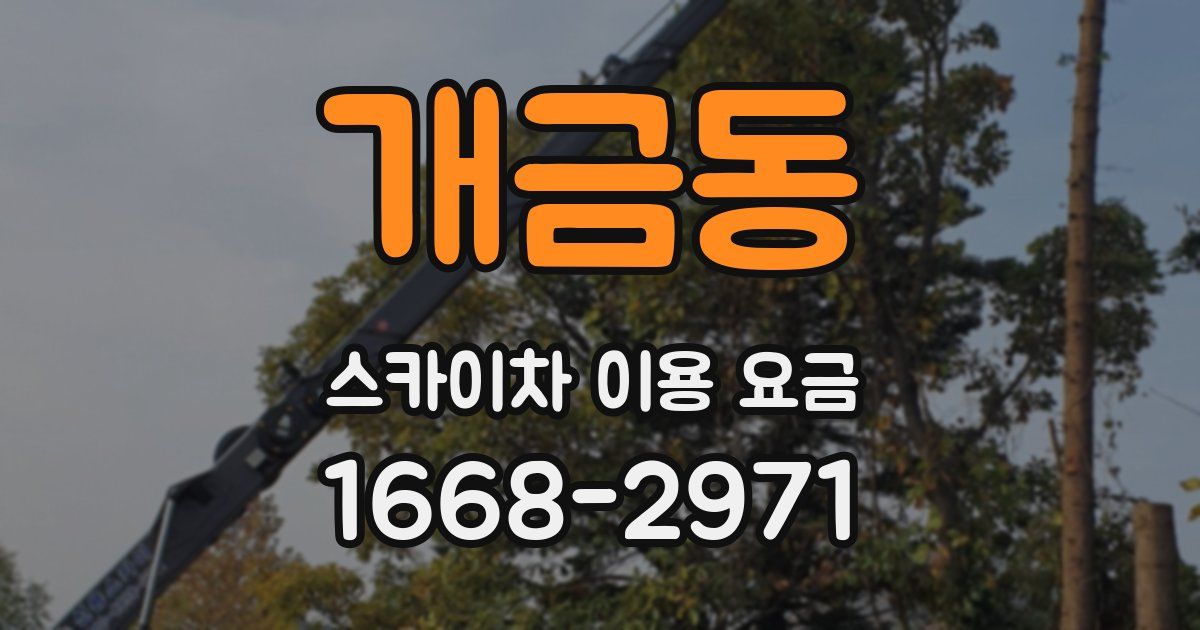 개금동 스카이차 이용 요금