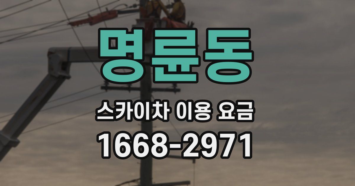 명륜동 스카이차 이용 요금