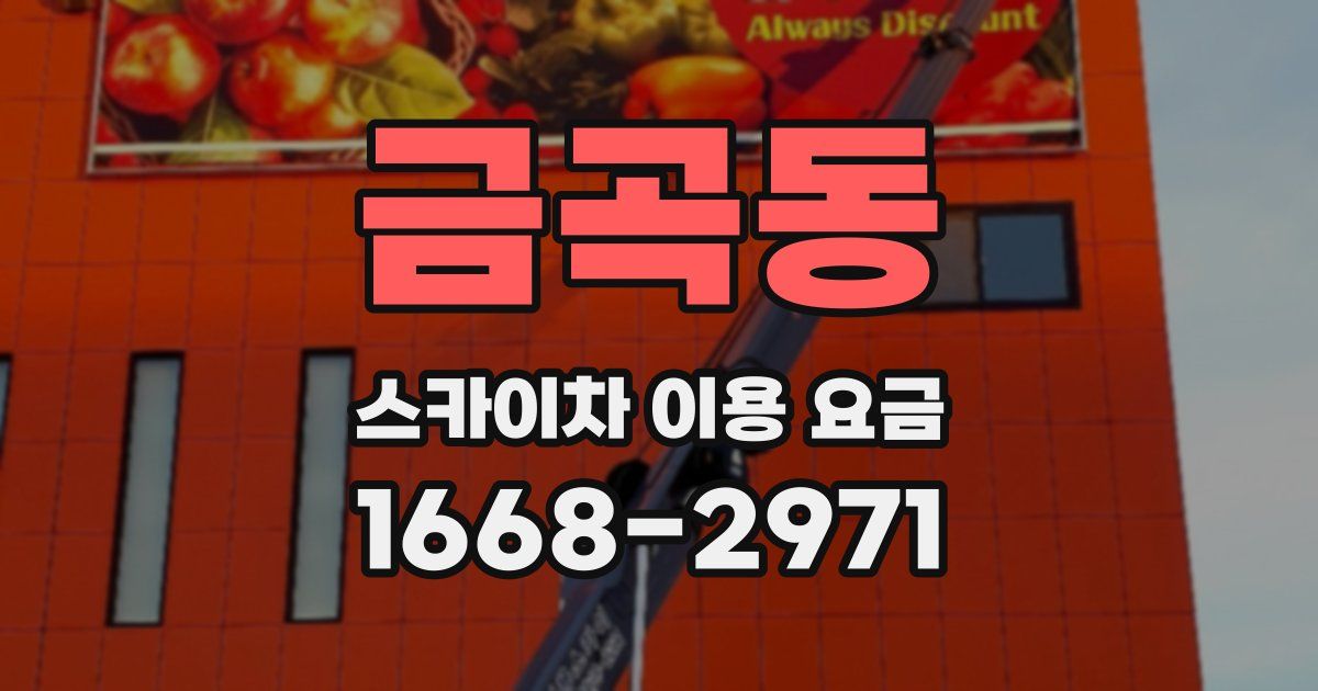 금곡동 스카이차 이용 요금