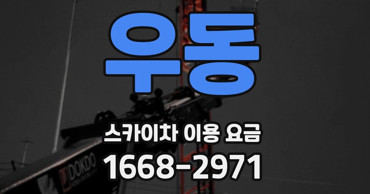 우동 스카이차 이용 요금