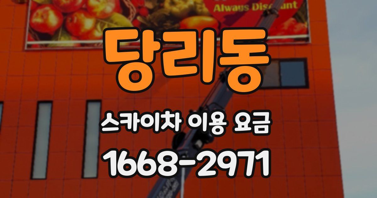 당리동 스카이차 이용 요금