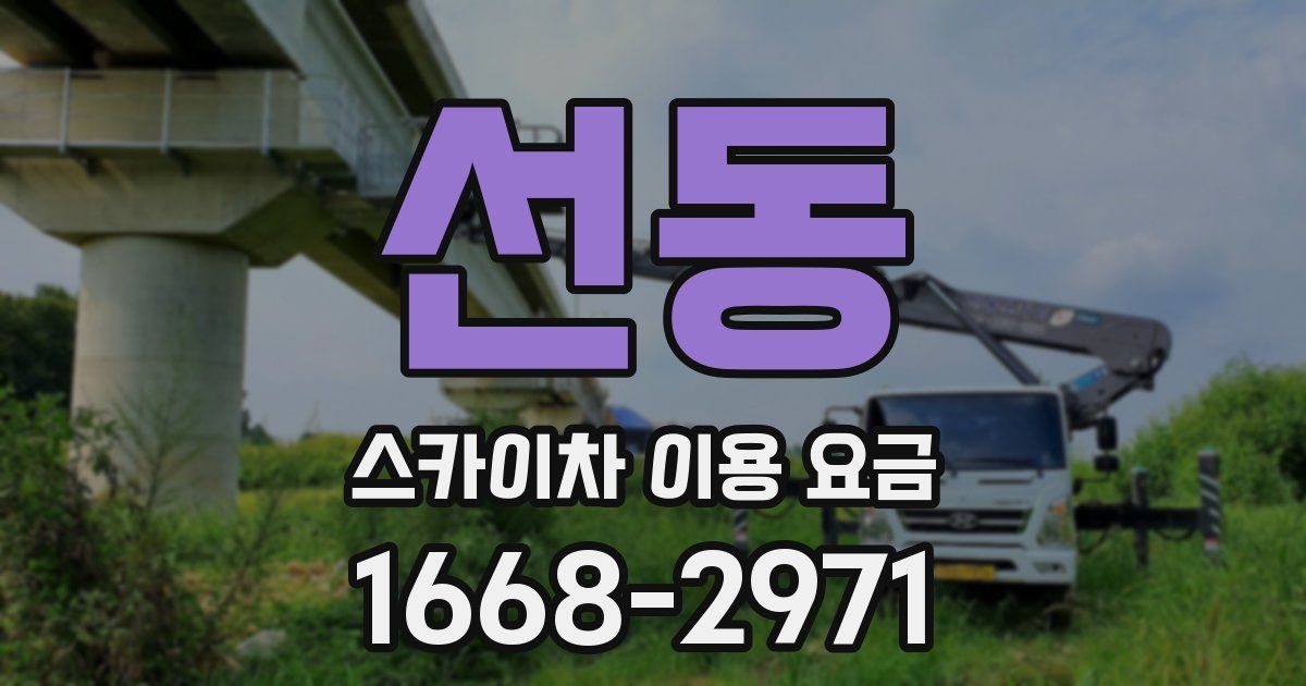 선동 스카이차 이용 요금